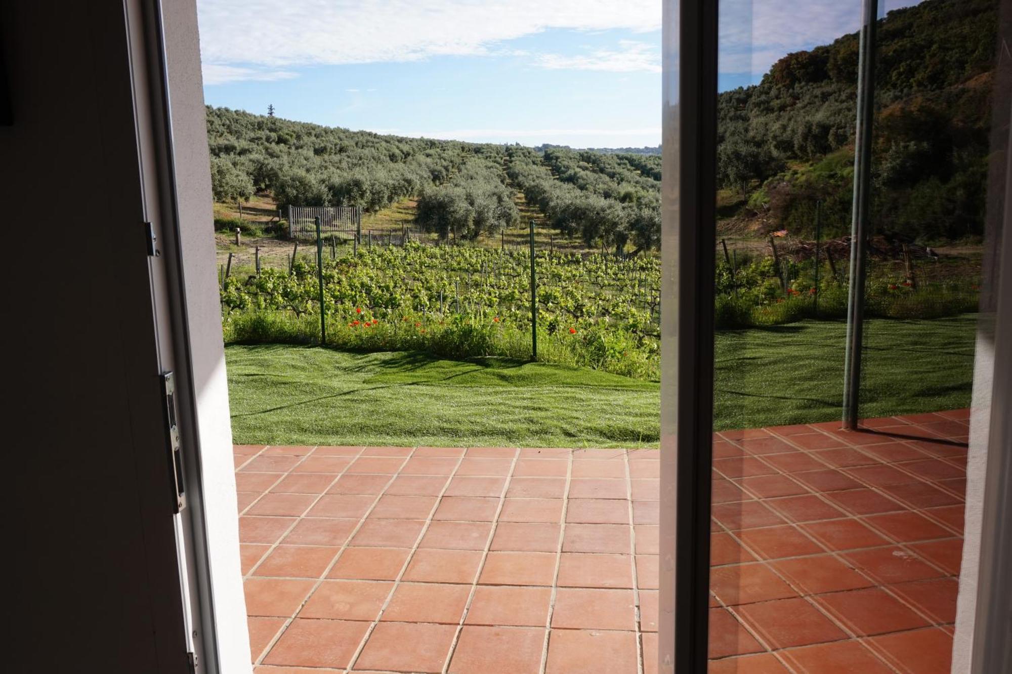 Appartement Bodegas Morosanto à La Cimada Extérieur photo